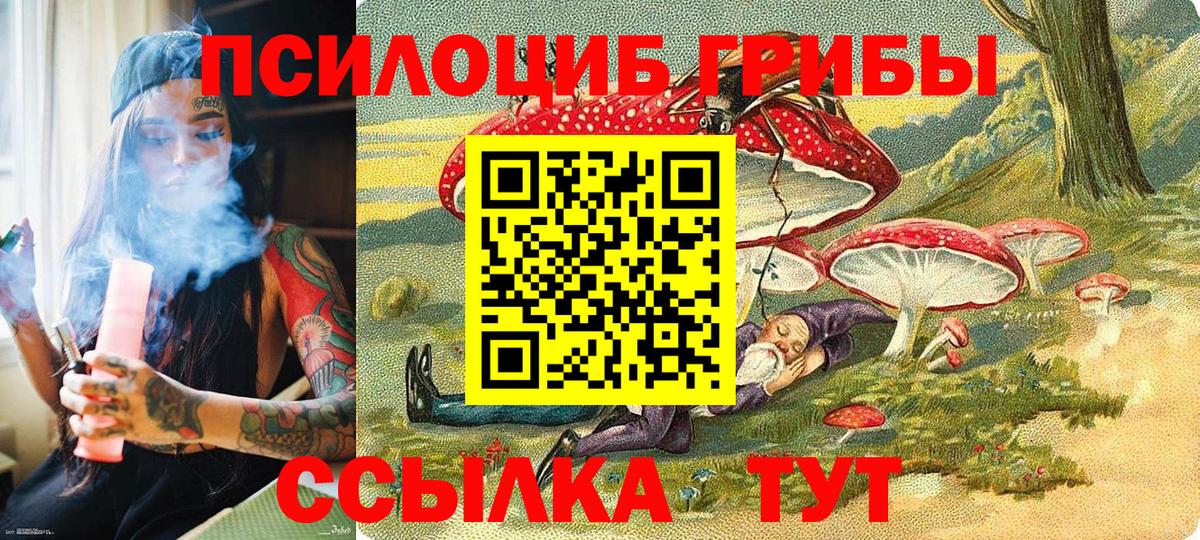 Галлюциногенные грибы GOLDEN TEACHER Михайловск