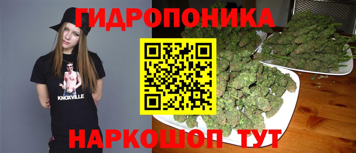 Михайловск  МАРИХУАНА конопля  Канабис план  Вход с VPN 